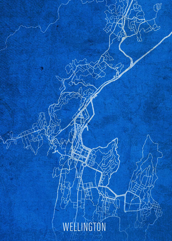Wellington New Zealand Map