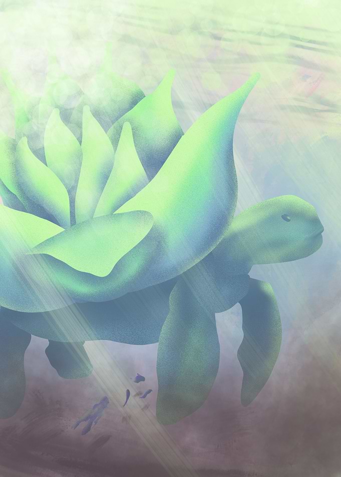 Gentle giant turtle