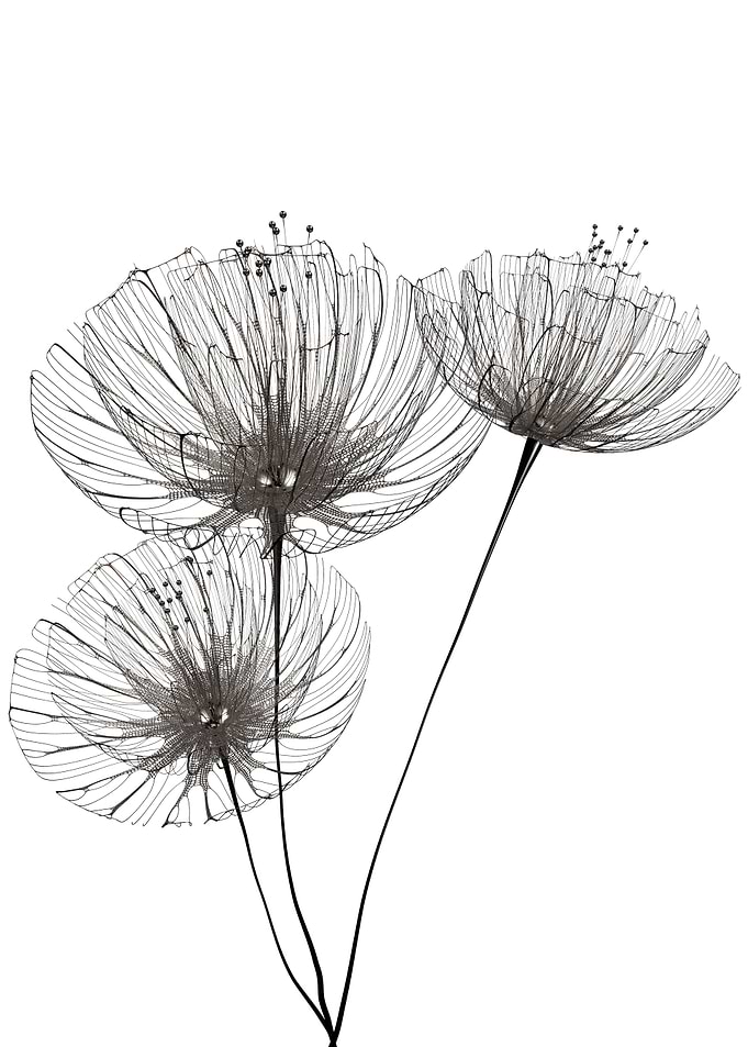 Minimalist flowers
