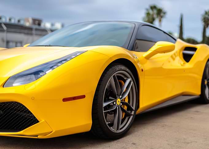 Yellow Stallion