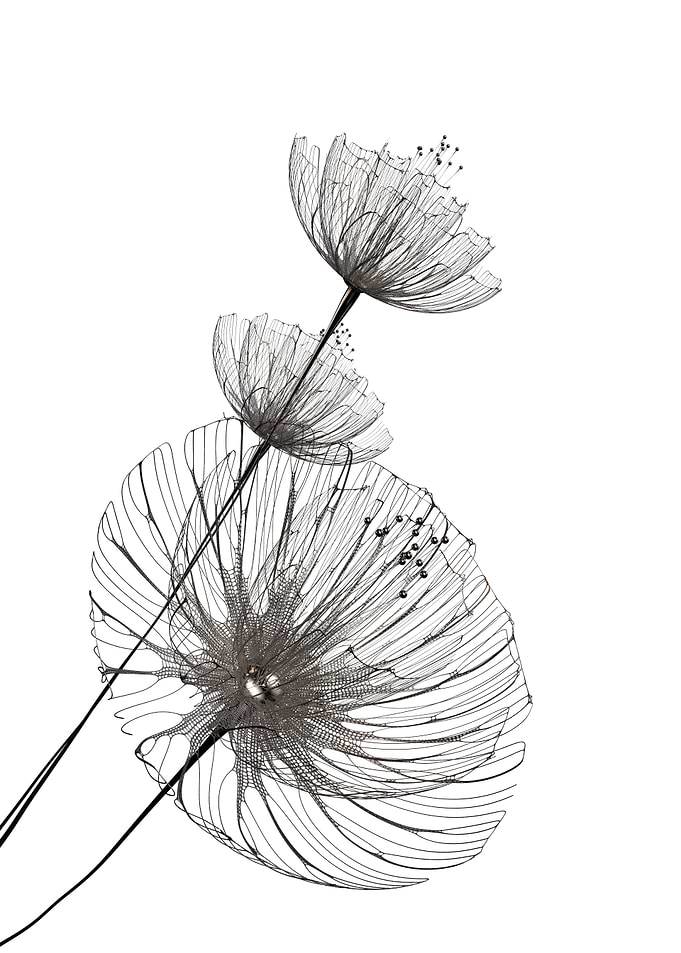 Minimalist flowers