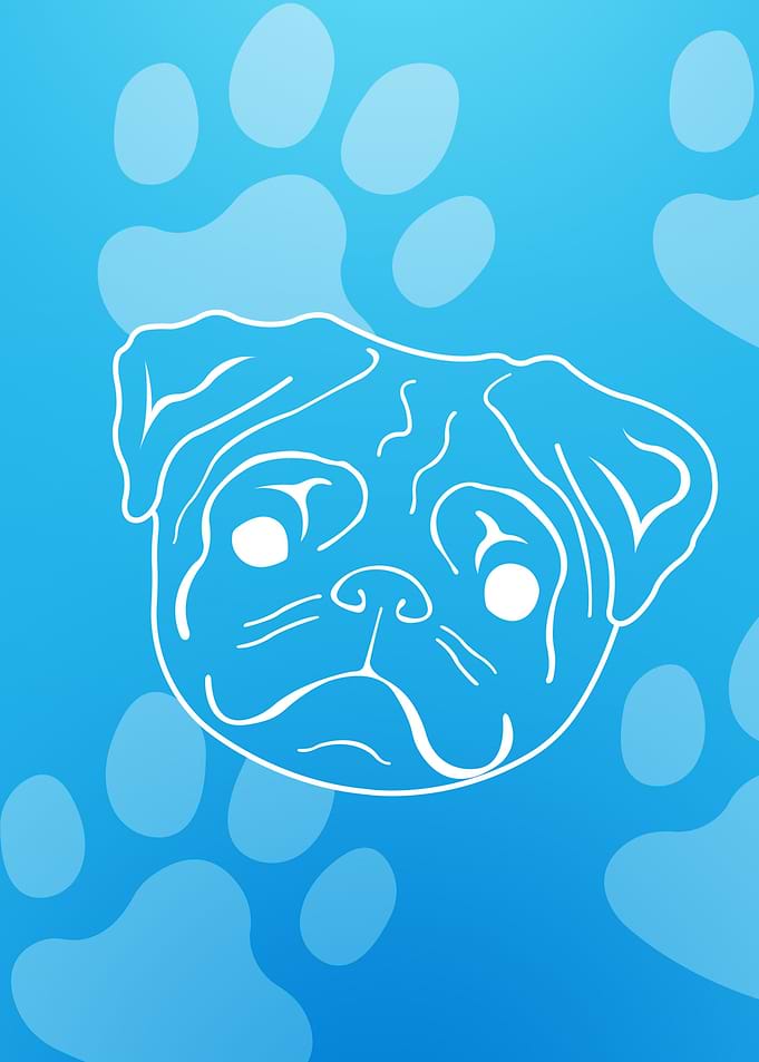 Pug Illustration