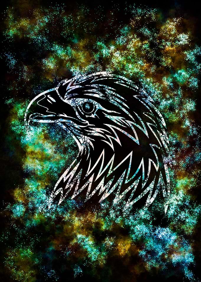 The Hawk