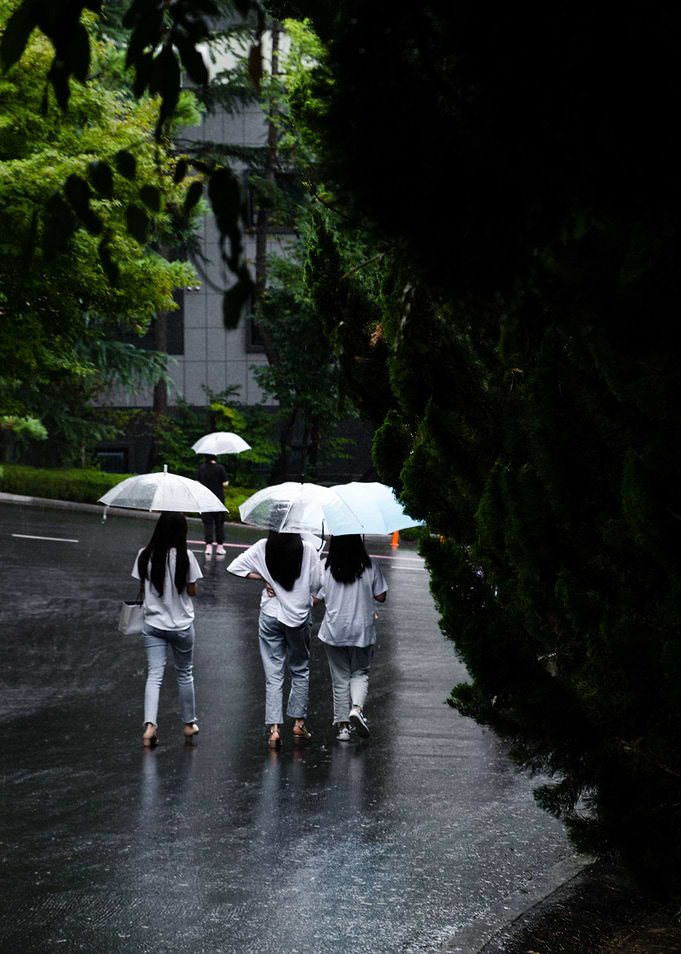 Three in the rain