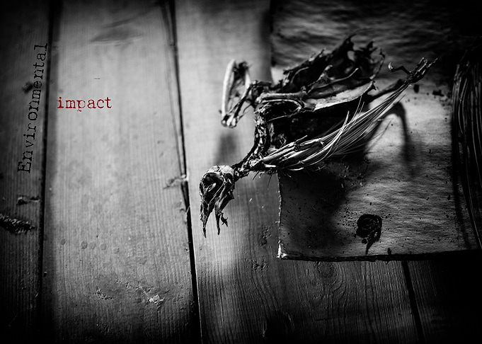 Environmental impact