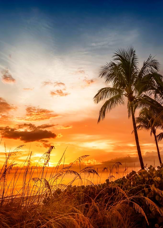 BONITA BEACH Bright Sunset