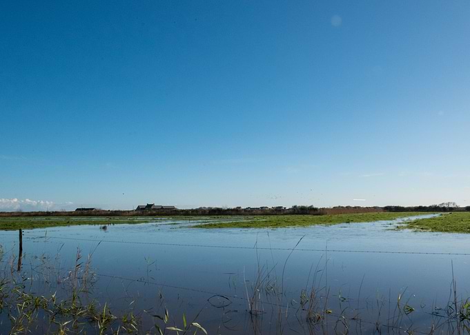 Flooded Fields 2