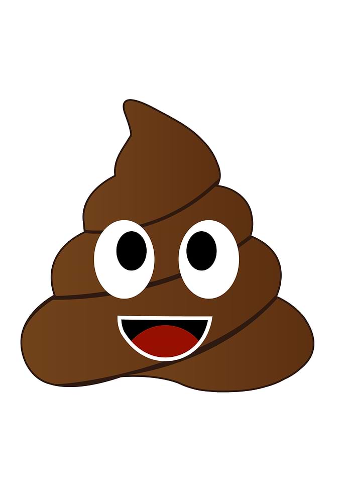 Humor shit poop emoji