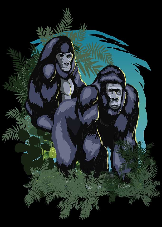Lovely Gorilla