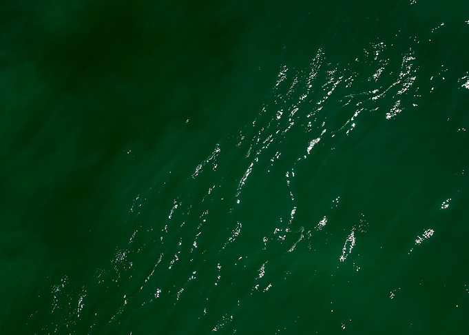 Waves summer abstract art