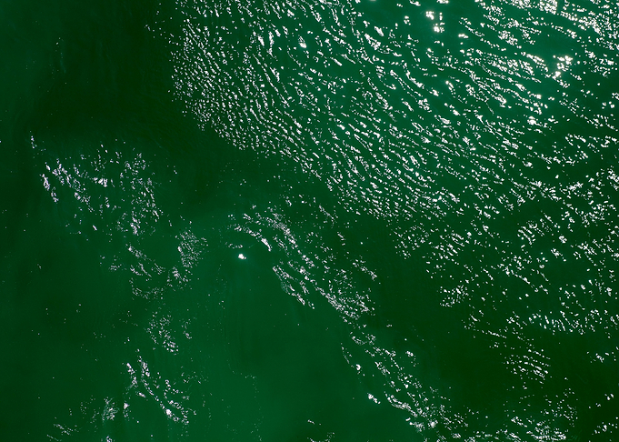 Waves summer abstract art
