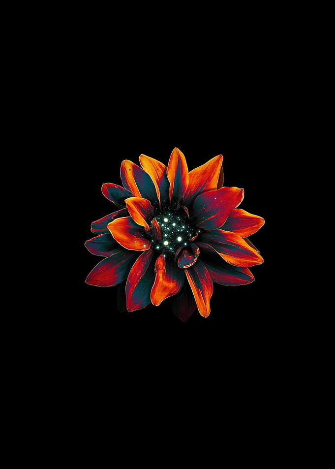 Otherworldly Flower