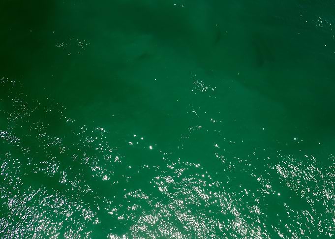 Waves summer abstract art
