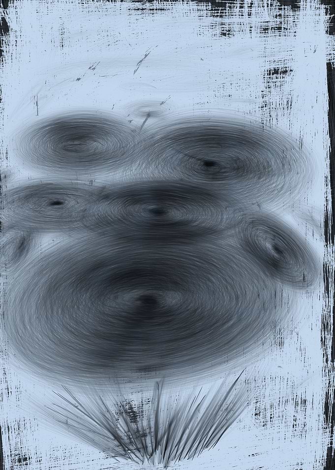 BWFlower
