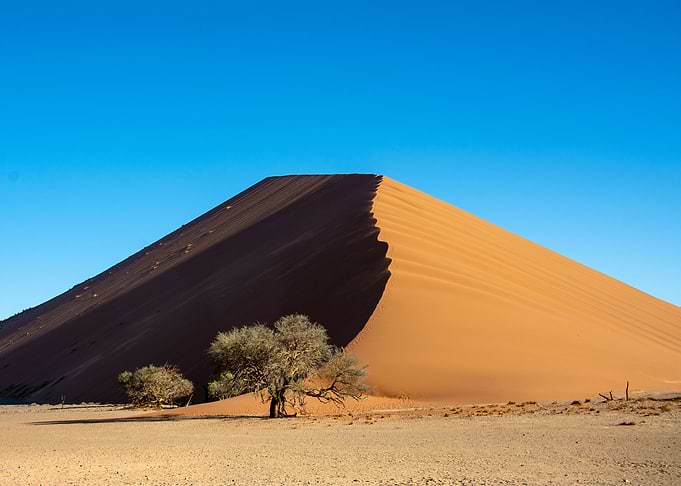 the namib desert