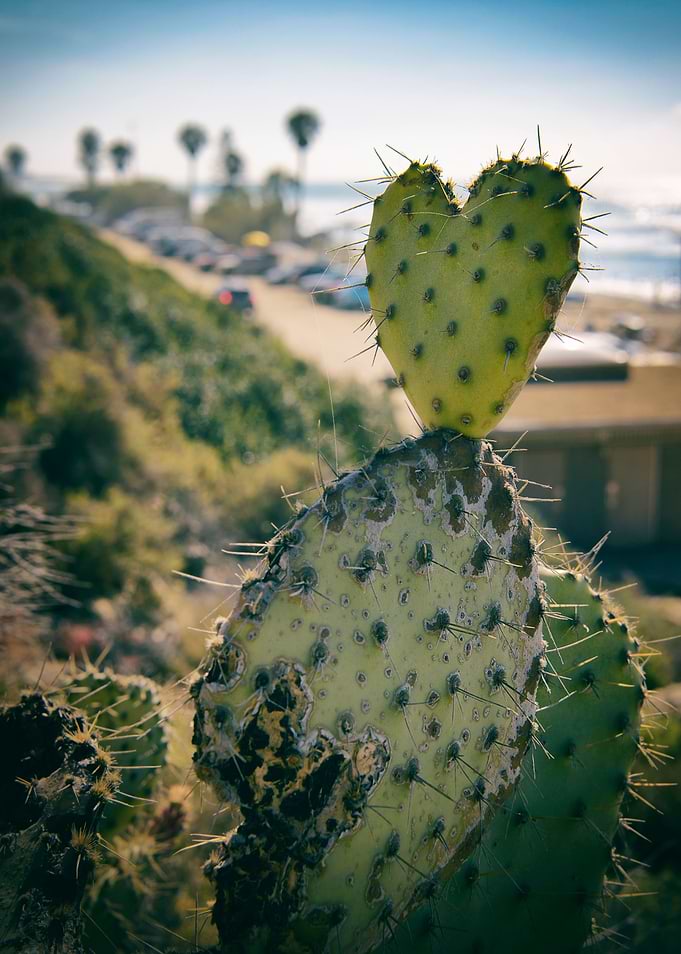 From California with Love