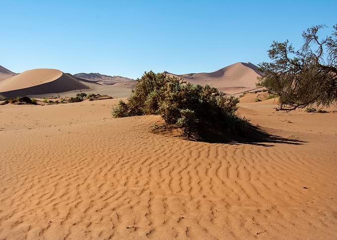 the namib desert