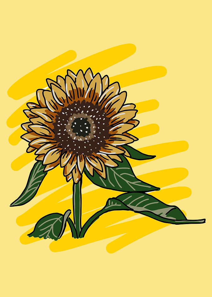 Sun Flower