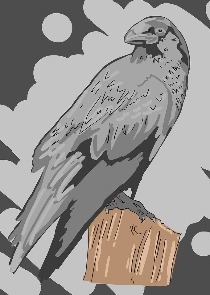 Crow