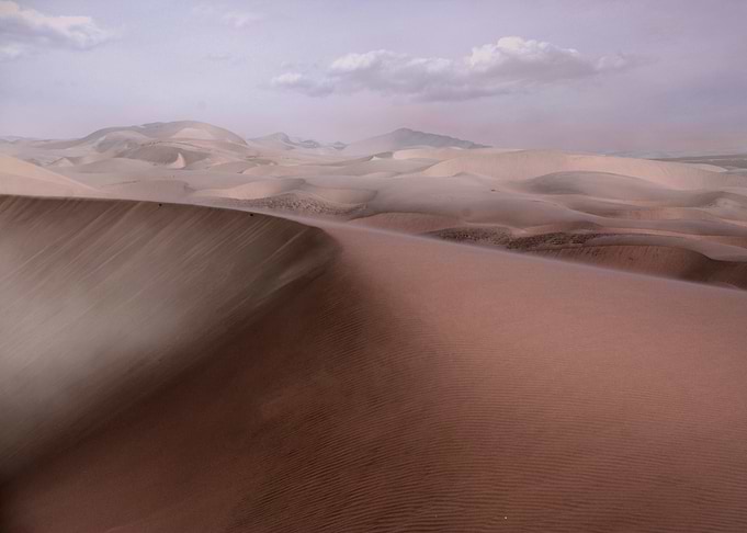 the namib desert