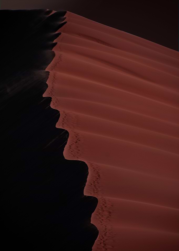 the namib desert