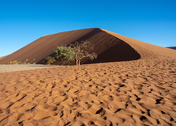 the namib