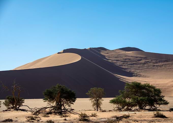 the namib desert