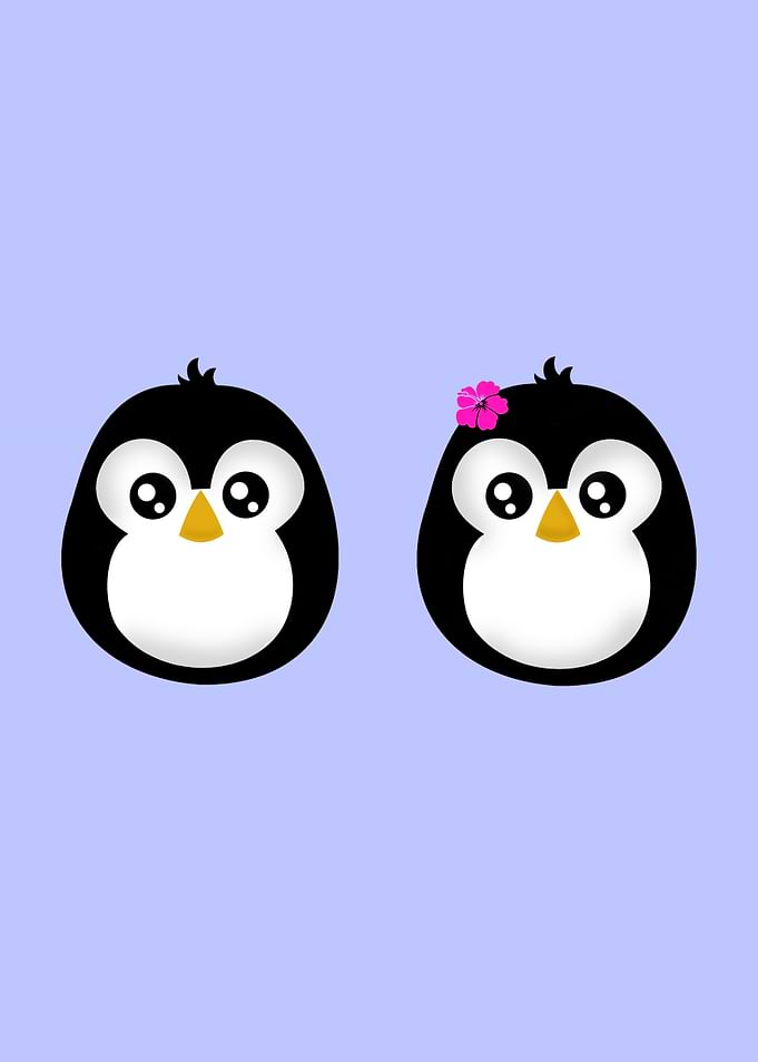 PENGUIN COUPLE