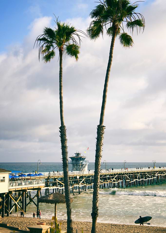 Two Palms
