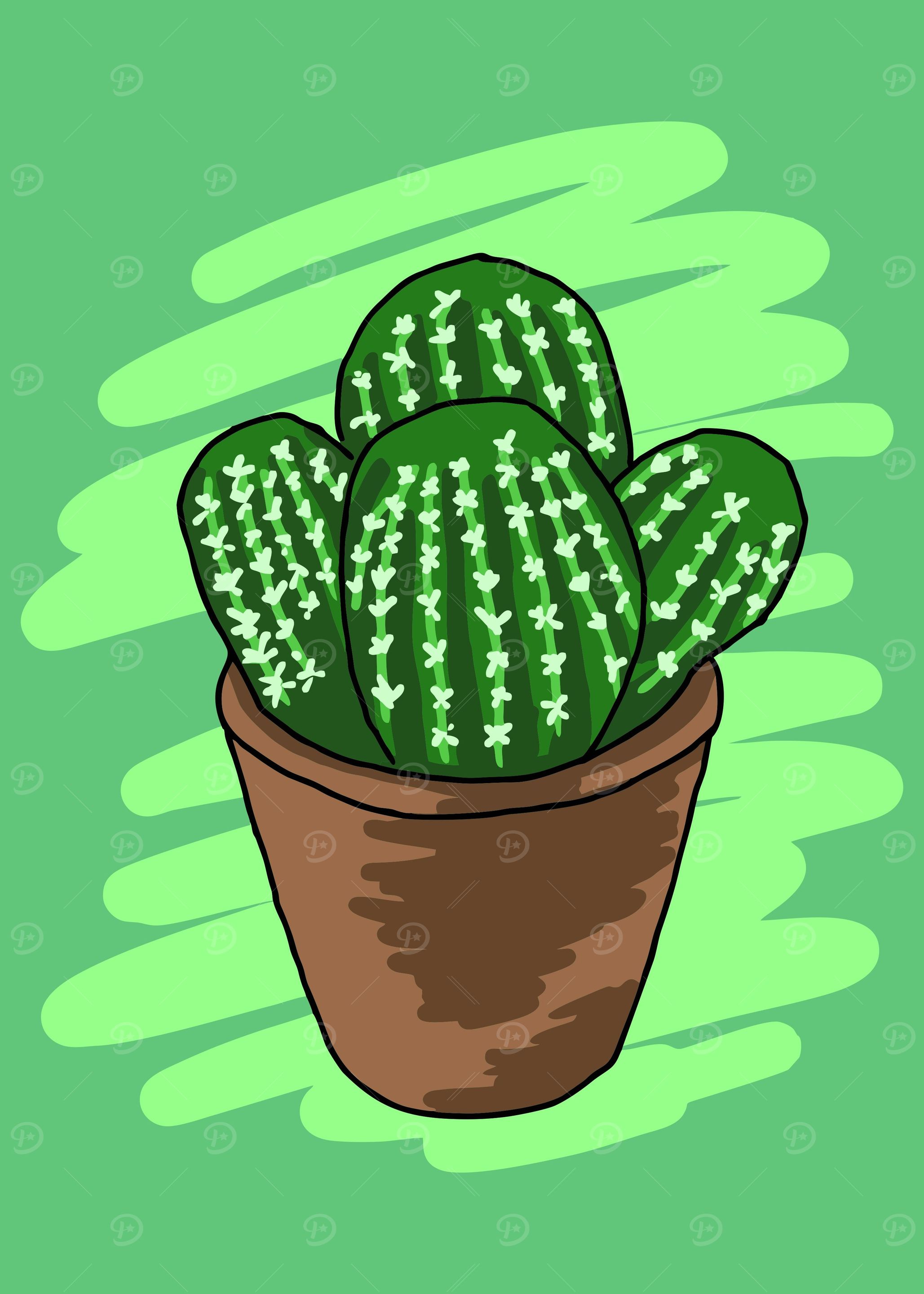 Cactus Flower