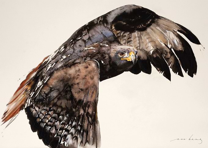 Falcon