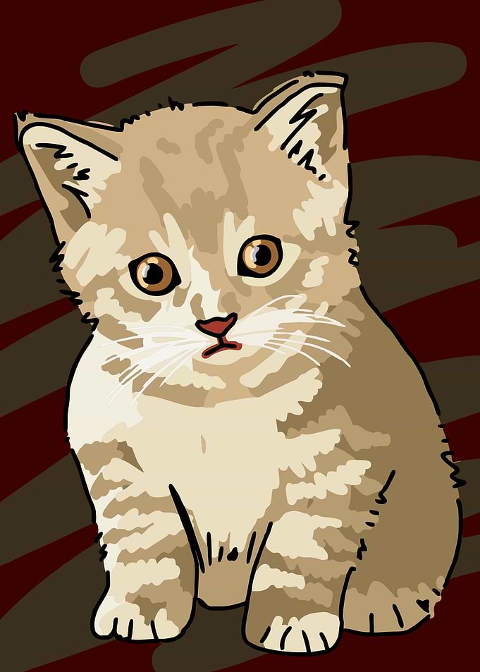 Cute cat