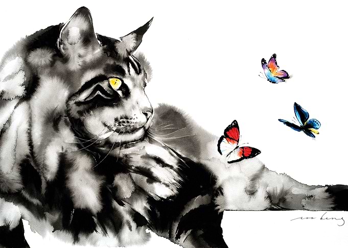 Lets Play Cat
