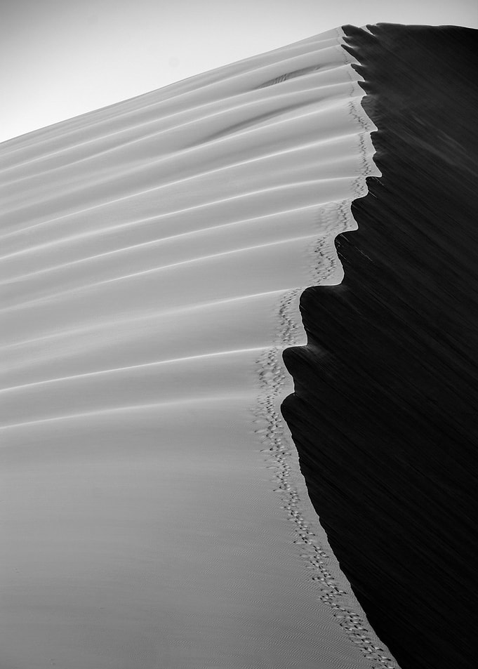 the namib desert