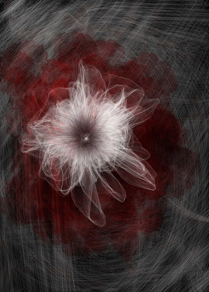 Abstract flower