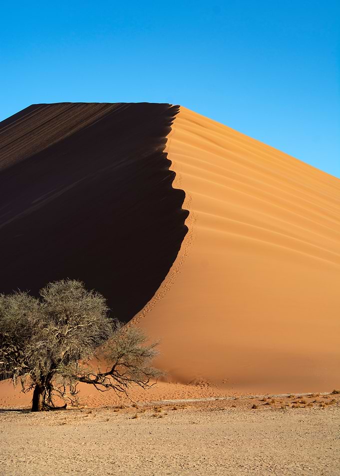 the namib desert