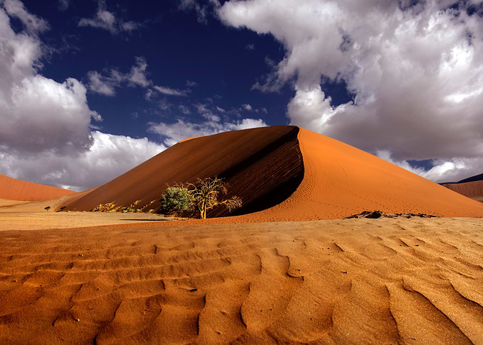 the namib desert