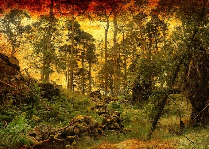 Galloway Forest Park
