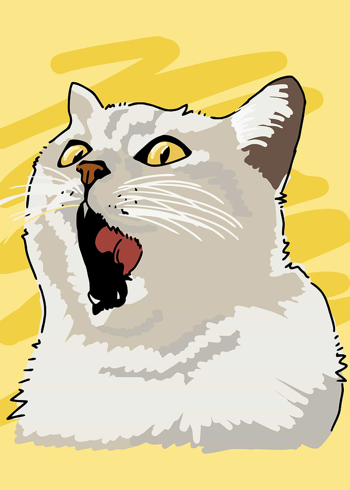 Cat Roar