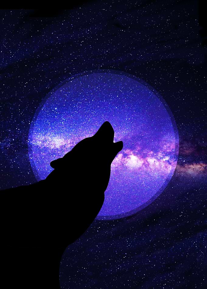 Howling Wolf