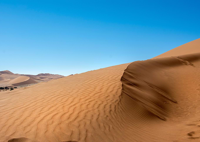 the namib desert