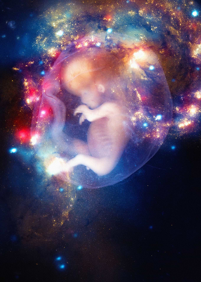 Embryo