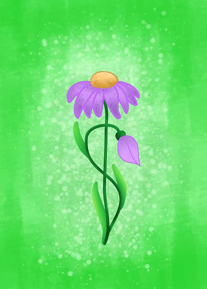 Purple flower