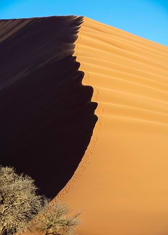 the namib desert