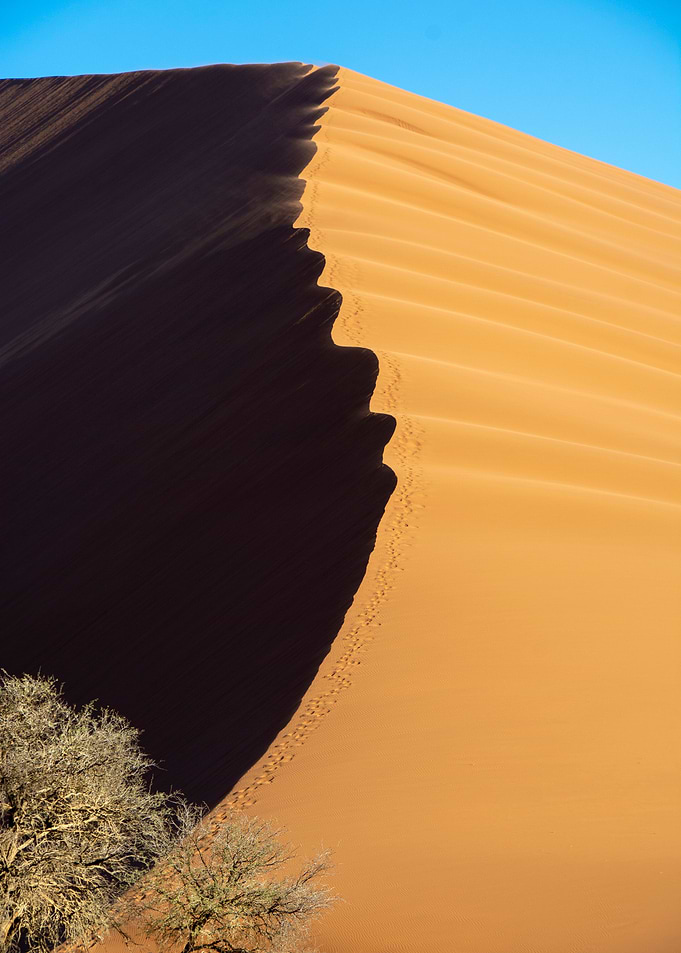 the namib desert