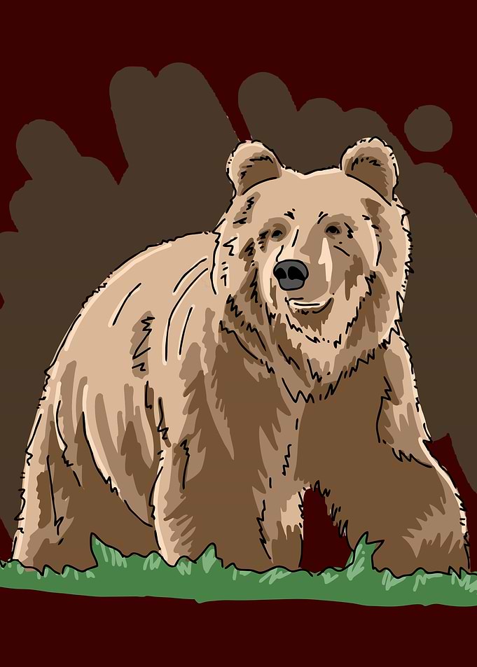 Bear