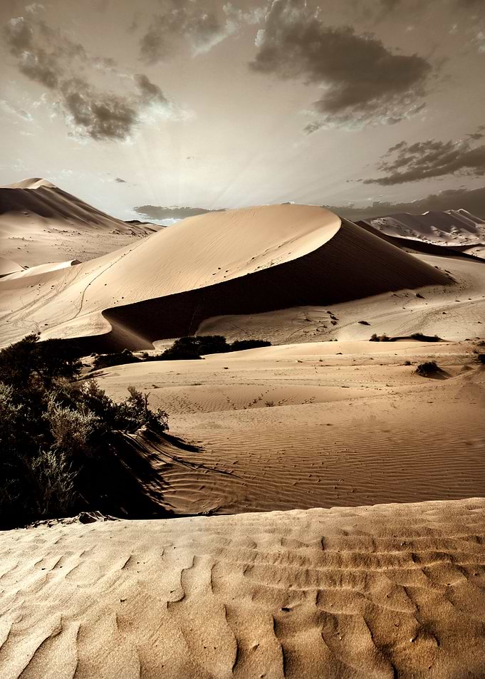 the namib desert