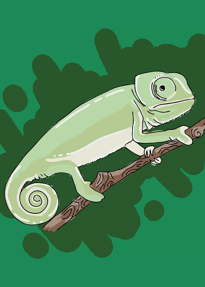 Chameleon