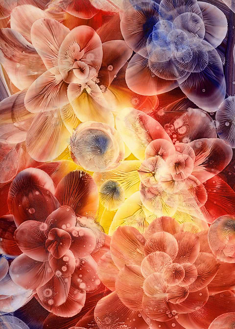 Flowers III