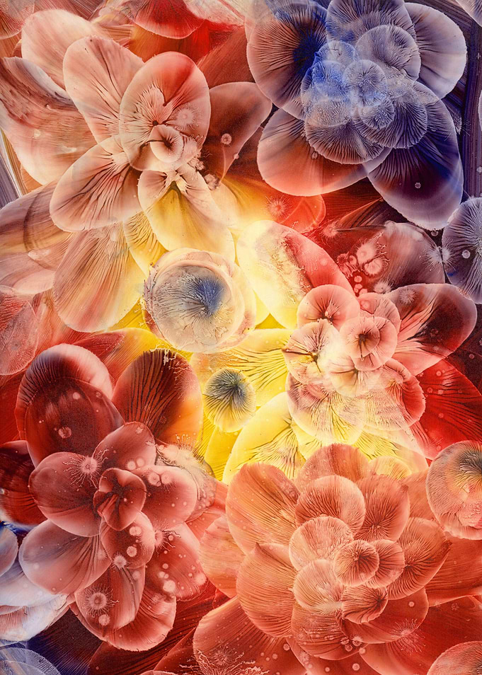 Flowers III